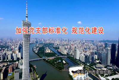 加強(qiáng)黨支部標(biāo)準(zhǔn)化 規(guī)范化建設(shè)