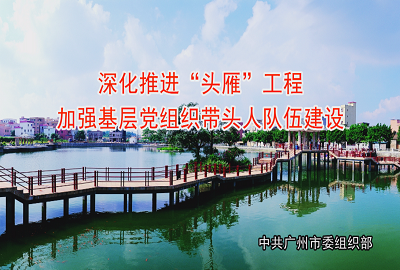 深化推進(jìn)“頭雁”工程，加強(qiáng)基層黨組織帶頭人隊(duì)伍建設(shè)